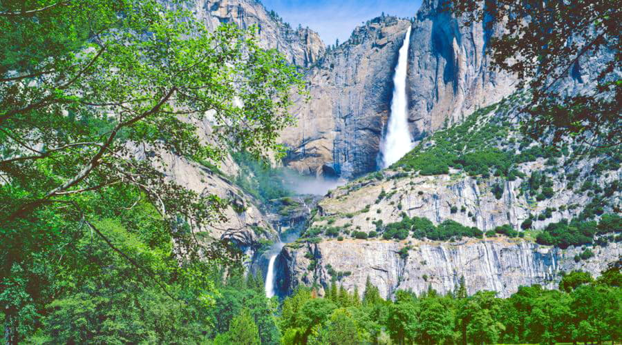 We offer a diverse selection of car rental options in Yosemite Valley.